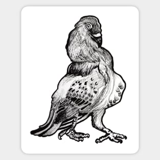 Trash Bird Sticker